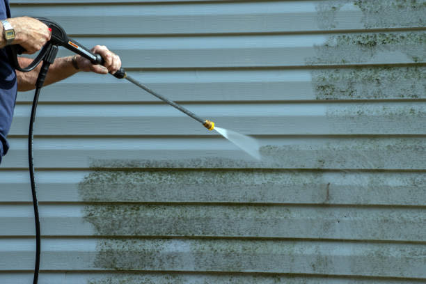 Best Driveway Pressure Washing  in Beltsville, MD